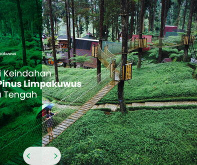 artikel Jelajahi Keindahan Hutan Pinus Limpakuwus di Jawa Tengah