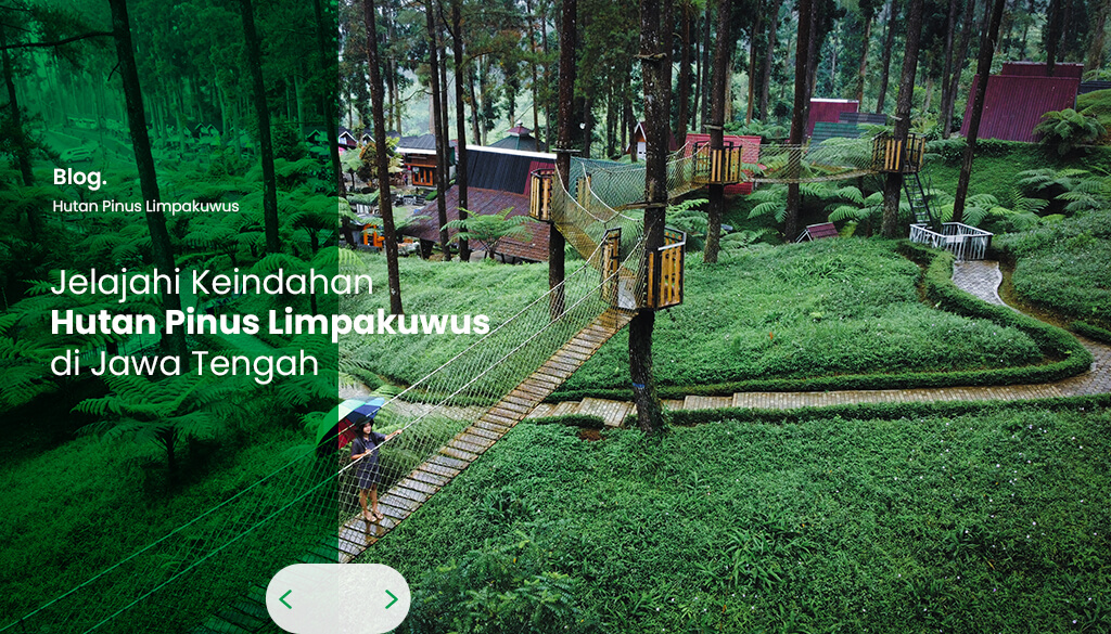 artikel Jelajahi Keindahan Hutan Pinus Limpakuwus di Jawa Tengah