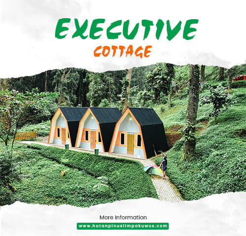 cottage executive hutan pinus