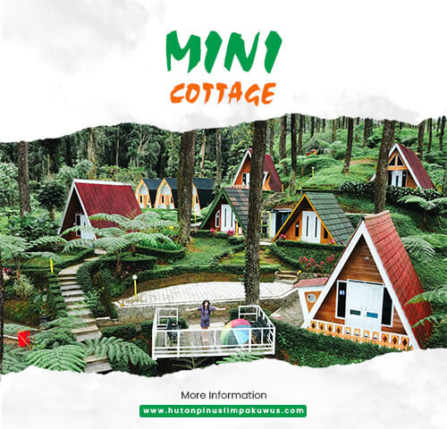 cottage mini hutan pinus