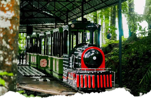wahana forest train